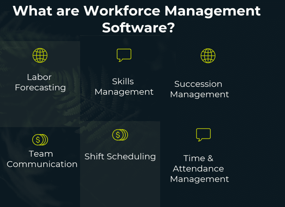 Workforce Management Software | setup.office.com
